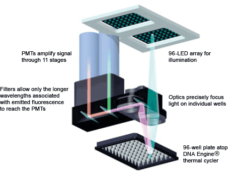 Engine Opticon 2 real-time PCR detection system optics