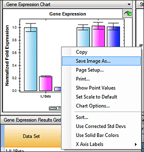 Fig. 4. Select Save Image As in the data analysis window.