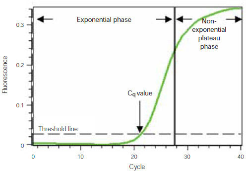 Real-time PCR (qPCR) amplification plot