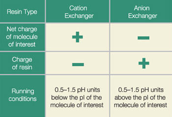 Choosing Cation or Anion Exchangers