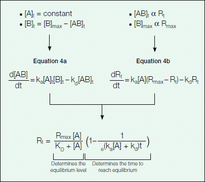 Rate of complex formation