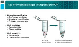 Ultra-Sensitive Quantification of Genome Editing Events by Droplet Digital PCR (ddPCR)