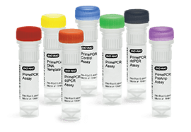 Amorces, dosages et essais PCR PrimePCR