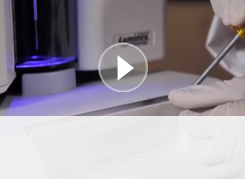 Adjusting Probe Height - Bio-Plex 200 Multiplex Immunoassay System