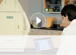 ChemiDoc Imaging Systems: Correcting Grainy Images