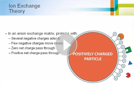 Chromatography 101: An Introduction to Ion Exchange Chromatography